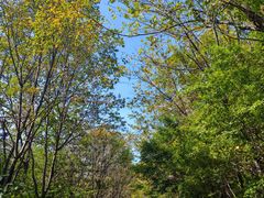 -五女峰国家森林公园