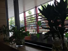 -麦当劳(国际社区店)