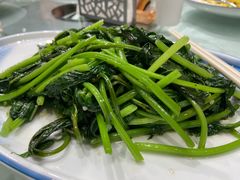 -品泉餐厅·大盆鱼·走地鸡