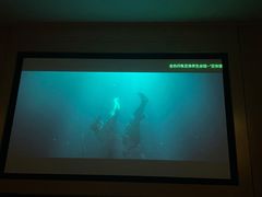 -金色印象·4K影院式足体养生(南坪桃源店)