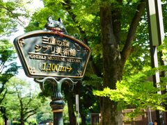 -井之头恩赐公园