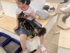 -李小姐の猫咖啡馆(五角场店)