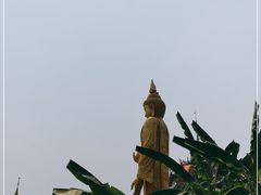 -西双版纳总佛寺