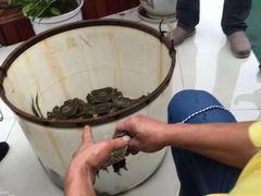 -秋月舫(阳澄湖湖滨中路店)