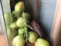 -吉英盐焗鸡(文中路店)