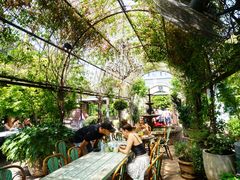 -The Grounds of Alexandria