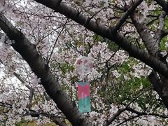 -堤角公园