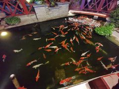 -顺德了能馆(虎门店)