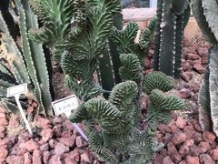 -郑州植物园