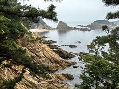 -海源公园