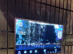 -骑士KTV(红谷滩万达店)