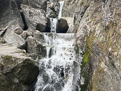 -牛背梁国家森林公园