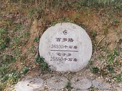 -千年银杏谷文化旅游区