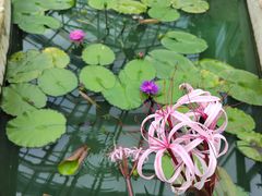 -国家植物园南园