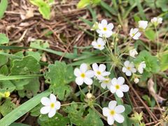 -南京金牛湖风景区