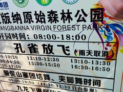 -西双版纳原始森林公园