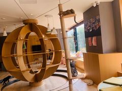 -CAT’S MEWSTAR CAFE·喵星球猫屋(晴湾咖啡店)