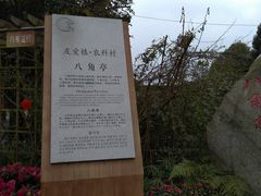 -郫都区农科村景区