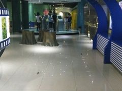 -上海昆虫博物馆