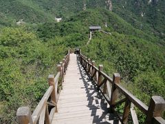 -大岭沟猕猴桃谷风景区