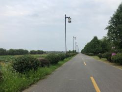 点击看大图 -水八仙生态园