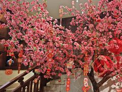 -東大方(安吉灵芝店)
