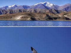 -班公湖