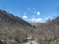 -黄龙山原始森林景区