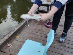 -酷鱼垂钓CLUB(朝阳区博大路店 )