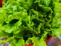 包肉叶生菜-小米烤肉-泥炉炭烤(常营店)