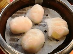 晶莹鲜虾饺-点点心点心专门店(旺角店)