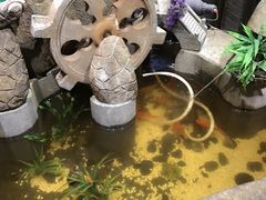 -富侨养生(康乾店)