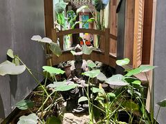 -邈墨茶馆(江南星座1店)