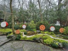 -灵隐飞来峰景区