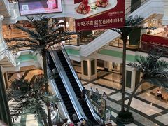 -江南环球港