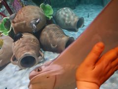 -沈阳海洋探索中心