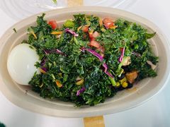 -油梨树AVOCADO TREE(望京店)
