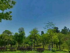 -中国移动南方基地