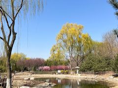 -东升八家郊野公园
