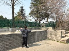 -尚庄度假村·庭台树下·户外烧烤·团建CS·轰趴营地(上庄水库店)