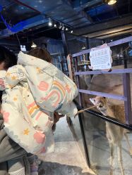 -酷嗒动物文化乐园(cutezoo西溪乐天城店)