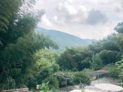 -宁波浙东大竹海景区