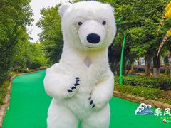 -苏州乐园森林水世界