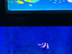 -常州海昌海洋探索馆
