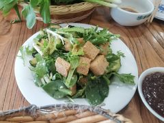 苦麻菜蘸酱-老保定驴肉馆(云岗路店)