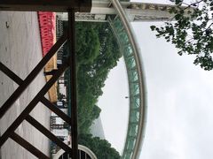 -南山植物园