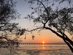 -宝安西湾红树林湿地公园