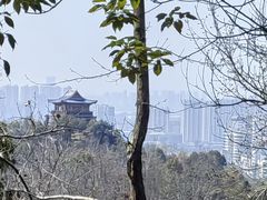 -云碧峰国家森林公园