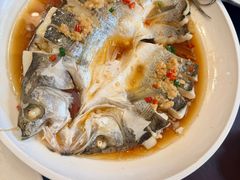 -小媳妇铁锅炖鱼(世博园店)