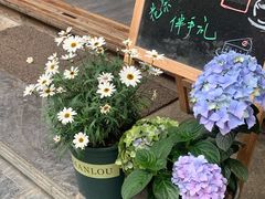 -漫香咖啡·云南小粒咖啡